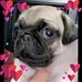 Brandy Herrera - Facebook