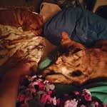 Brandy Humphrey - @hnybee29 - Instagram