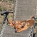 Jacques Brandie - Facebook