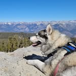 Brandy Koch - @brandykoch8 - Instagram