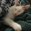 brandylarkin1979 - @brandylarkin1979 - TikTok