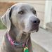 Brandy Lindsey - Facebook