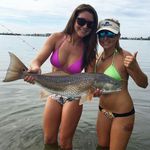 Brandy Lloyd - @brandyl55 - Instagram