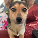 Brandy Mayle - @novagirl78 - Instagram
