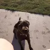 Brandy Mcdaniel - @brandy.mcdaniel - TikTok