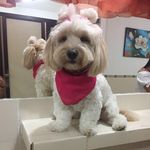 Brandy Liseth Molina - @babylee.1 - Instagram