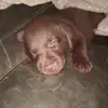 Brandy Norton - @brandy.norton3 - TikTok
