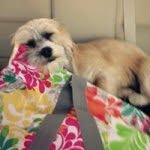 Brandy Knox - @brandyolson560 - Instagram