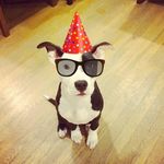 Brandy Olson - @telltalehearts - Instagram