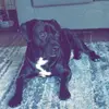 Brandy Olson - @brandy.olson6 - TikTok