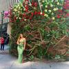 Brandy Portillo - @brandyportillo2 - TikTok