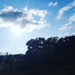 Brandy Peck - @brpeba9 - Instagram
