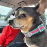 Brandy Ridgeway - @ridgewaybrandy - Instagram