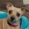Brandy Ritchey - @brandyritchey - TikTok