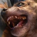 Ms. Brandy Ritter - @onemeanbrandy - Instagram
