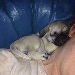 Brandy Shipp Rogge - @shippbrandy - Instagram