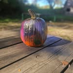Brandy Southwick - @bsouth1979 - Instagram