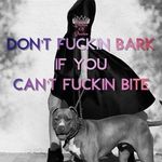 Crazy Bitch - @brandysouthwick5 - Instagram