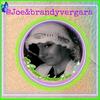 JoeBrandy Vergara - @joeandbrandyvergara - TikTok
