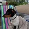 Brandy Wade - @brandy.wade7 - TikTok