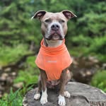 𝑩𝒓𝒂𝒏𝒅𝒚🤍 - @brandy_white_point - Instagram