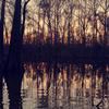Brandon Parker - @brandon.parker1234 - TikTok