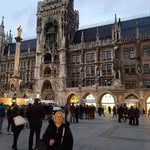 Branka Nikolić - @brankanikoic - Instagram