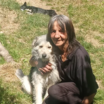Branka Nikolic - Facebook