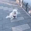 Branka Nikolic - @branka.nikolic4 - TikTok