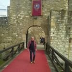 Branko Jovanovic - @branko.jovanovic.54772 - Instagram