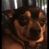 user2209151882071 - @brandon_byrd - TikTok