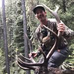 Brant Davis - @thebrantdavis - Instagram