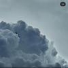 Grant Erickson - @grant.s.erickson - TikTok