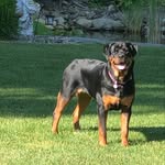 Dwayne Branthoover - @dwaynebranthoover - Instagram