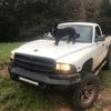 Brantlee - @brant007 - TikTok
