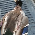 Brant Miller - @b_miller9506 - Instagram