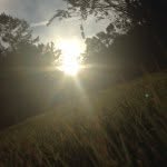 Brant rooker - @blr15 - Instagram