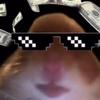 Brantley - @brantleypettry999 - TikTok