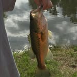 Brantley Day - @fish_and_hunt_291 - Instagram