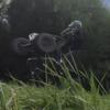Brantley - @quad_ripper4 - TikTok