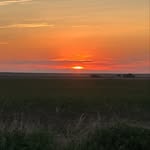 Brantley Wallace - @brantley.2929 - Instagram