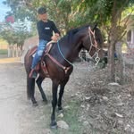 Braulio Cortes - @brauliocortes79 - Instagram