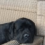 Braxton cook - @basball690 - Instagram