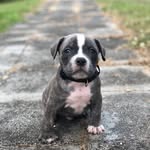 Braxton Cook - @braxton9218 - Instagram