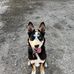 Braxton Cooke - Facebook