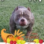 Braxton Howard - @braxton.howard.967 - Instagram