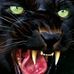 Brayan Leiva - Facebook