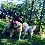 Brayan Leiva - @brayan__l2000 - Instagram