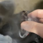 brayden bradshaw - @brayden2faded420 - Instagram