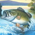 Brayden buck - @big_bass_plays - Instagram